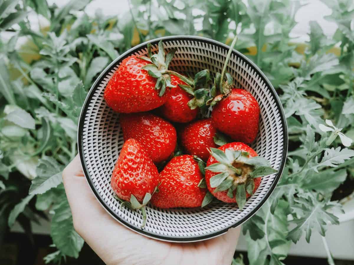 Healthy Snack Ideas to Balance Blood Sugar Levels (1)