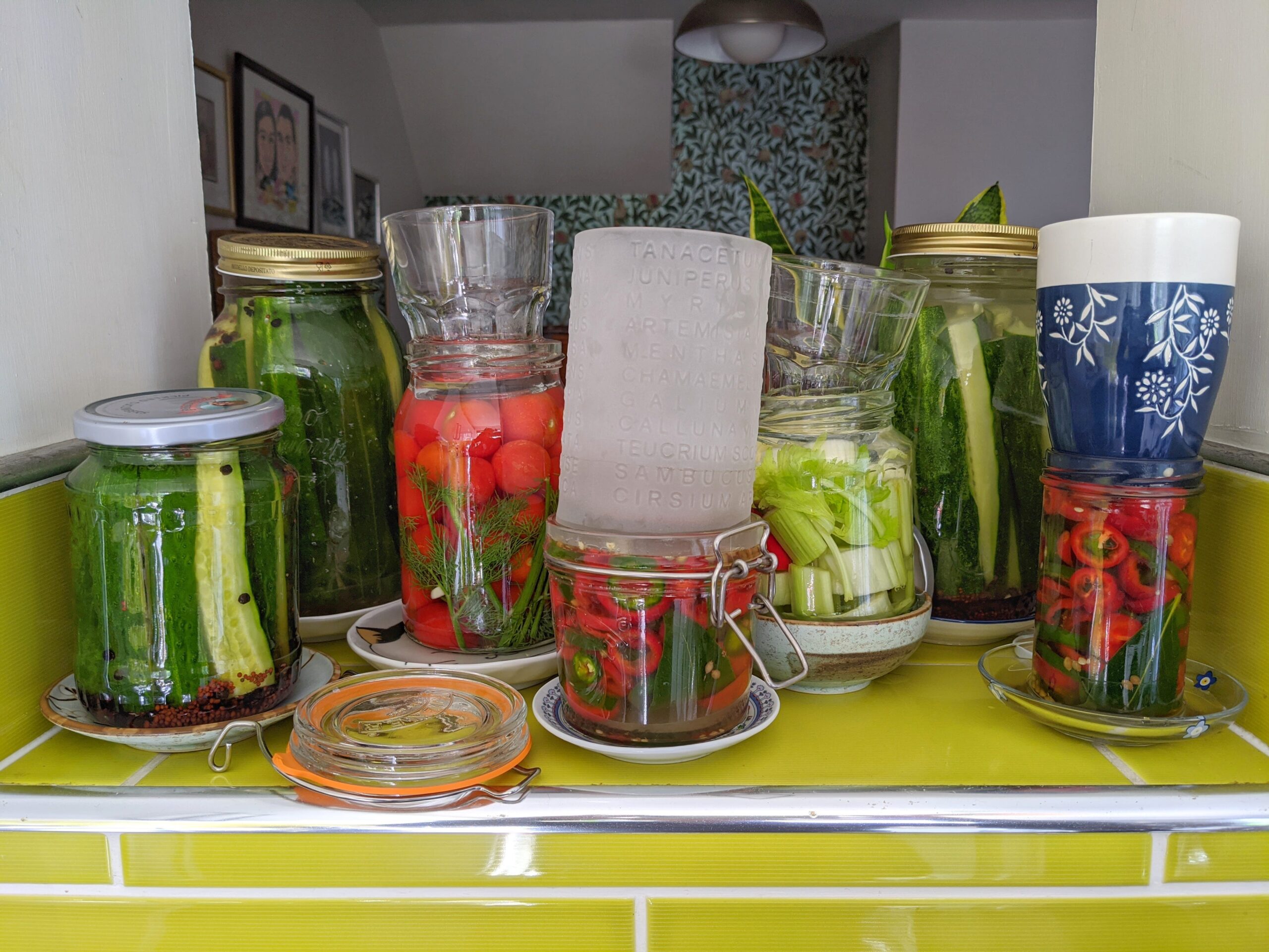 How to Safely Ferment Vegetables at Home (2)